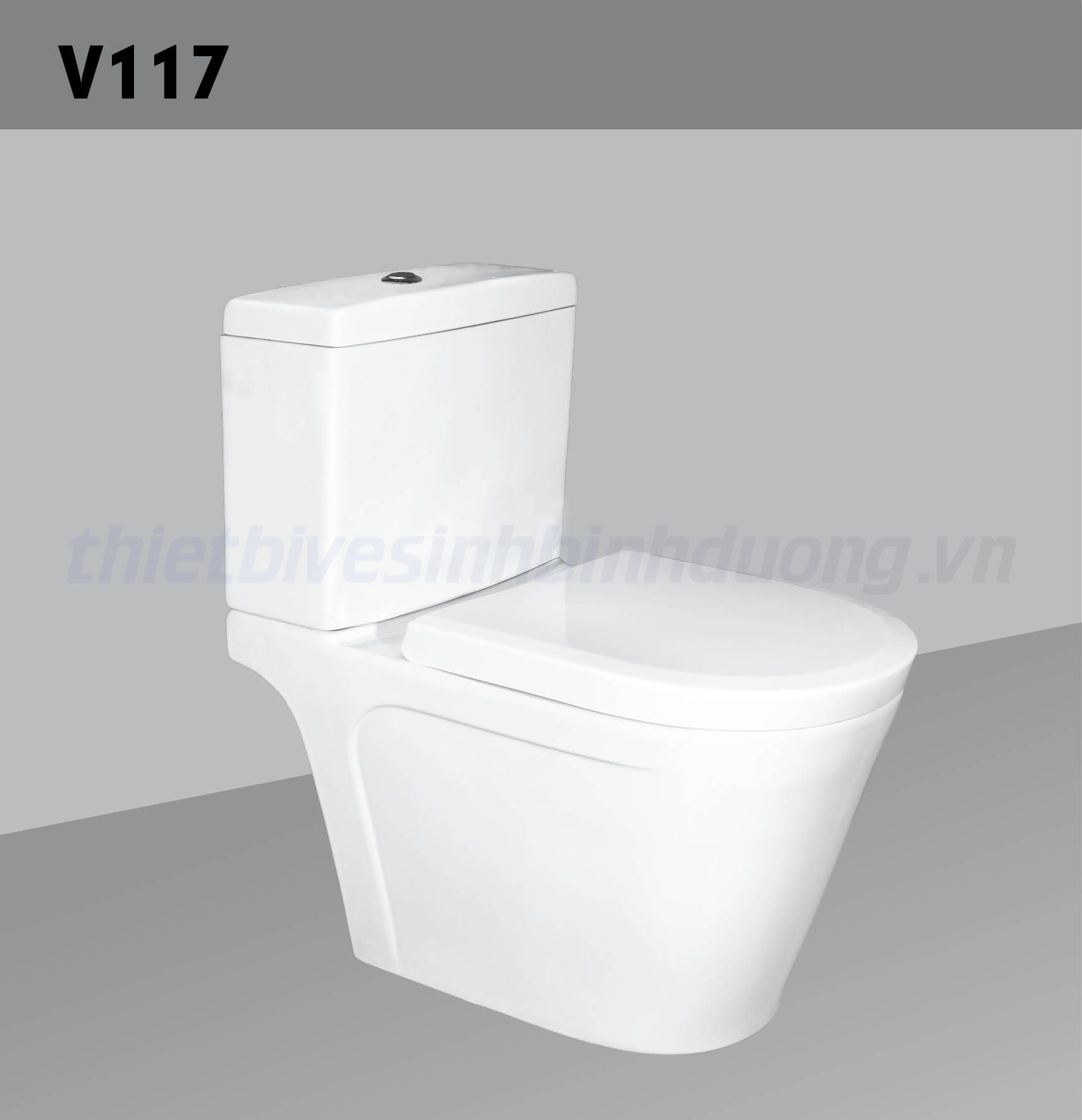Bồn cầu sứ Hảo Cảnh HC V117